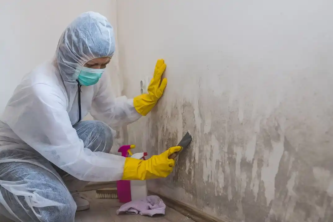 water damage restoration service Sandstone Ranch Estates